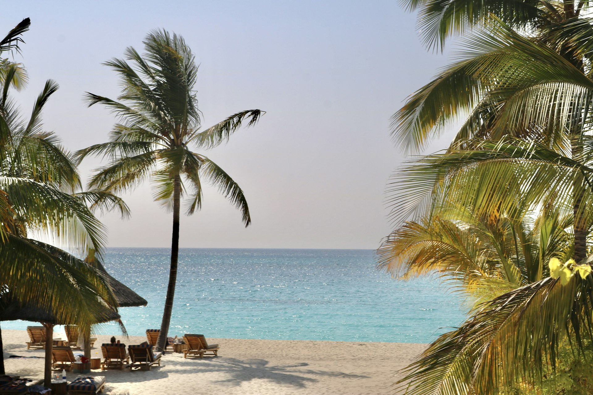White sand beach with sun loungers framed by palms